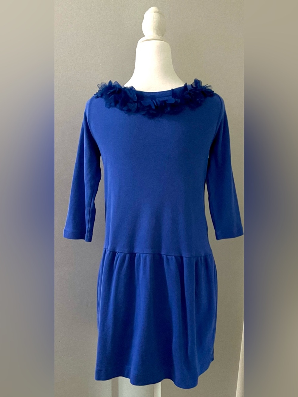 Crewcuts Size 14 Royal Blue Floral Trim Long Sleeve Dress